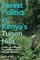 Forest Politics in Kenya's Tugen Hills
