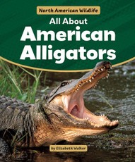 All about American Alligators