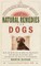 The Veterinarians' Guide to Natural Remedies for Dogs