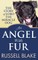 An Angel With Fur