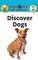 Discover Dogs