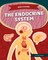 The Endocrine System