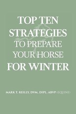 Top Ten Strategies To Prepare Your Horse For Winter