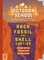 Outdoor School: Rock, Fossil, and Shell Hunting
