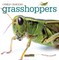 Grasshoppers