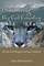 Discovering Big Cat Country
