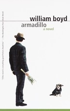 Armadillo