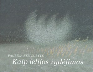 Kaip lelijos žydėjimas