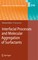 Interfacial Processes and Molecular Aggregation of Surfactants