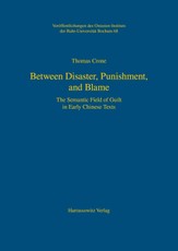 Between Disaster, Punishment, and Blame