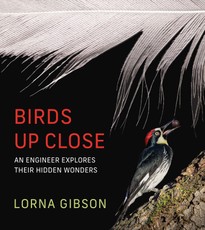 Birds Up Close