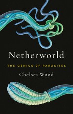 Netherworld