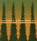 Sustainability of Temperate Forests