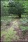 Off the Beaten Path