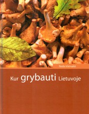 Kur grybauti Lietuvoje