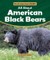 All about American Black Bears
