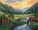 Tapyba pagal skaičius: PRIEŠ AURĄ art_selena_ua 40x50 dėžutėje