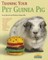 Training Your Pet Guinea Pig