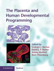 Placenta and Human Developmental Programming