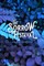 The Sorrow Festival