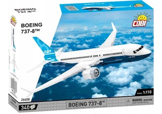 Boeing 737-8 lėktuvas