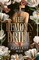 The Demon's Bride