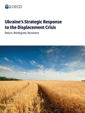 Ukraine's Strategic Response to the Displacement Crisis