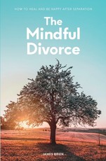 The Mindful Divorce