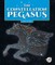 The Constellation Pegasus