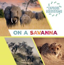 On a Savanna