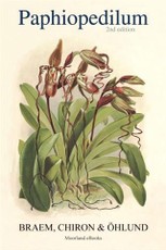 Paphiopedilum