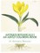 Antique Botanicals I - An Adult Coloring Book
