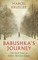 Babushka's Journey