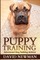 Puppy Training