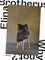 Elina Brotherus