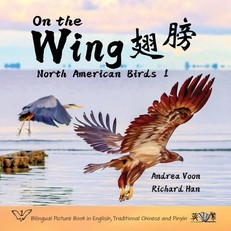 On the Wing &#32709;&#33152; - North American Birds 1