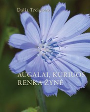 Augalai, kuriuos renka Žynė
