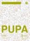 Pupa. Testai 2 klasei (pagal 2016 m. programą). Serija ŠOK
