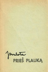 Prieš plauką