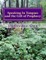 Speaking In Tongues and the Gift of Prophecy