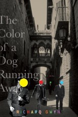 The Color of A Dog Running Away