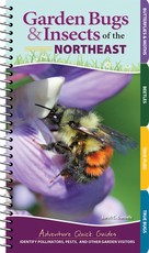 Garden Bugs & Insects of the Northeast