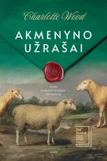 Akmenyno užrašai