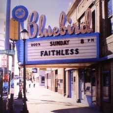 Vinilinė plokštelė LP FAITHLESS „Sunday 8PM“ (2LP)