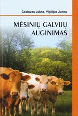 Mėsinių galvijų auginimas
