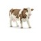 SCHLEICH FARM WORLD Simentalio Karvė