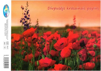 Dvipusis spalvotas popierius A4, 8 lapai