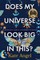 Does My Universe Look Big in This?