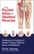 The Pocket Atlas of Skeletal Muscles