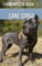 The Complete Guide to the Cane Corso